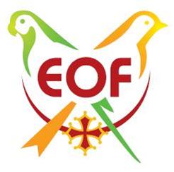 Logo eof